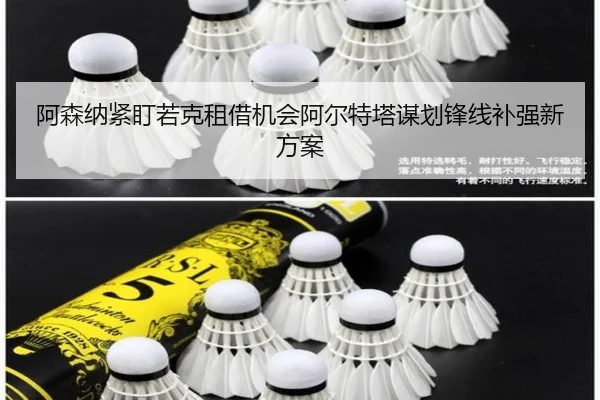 img_1783677416552_363_1_462.jpg